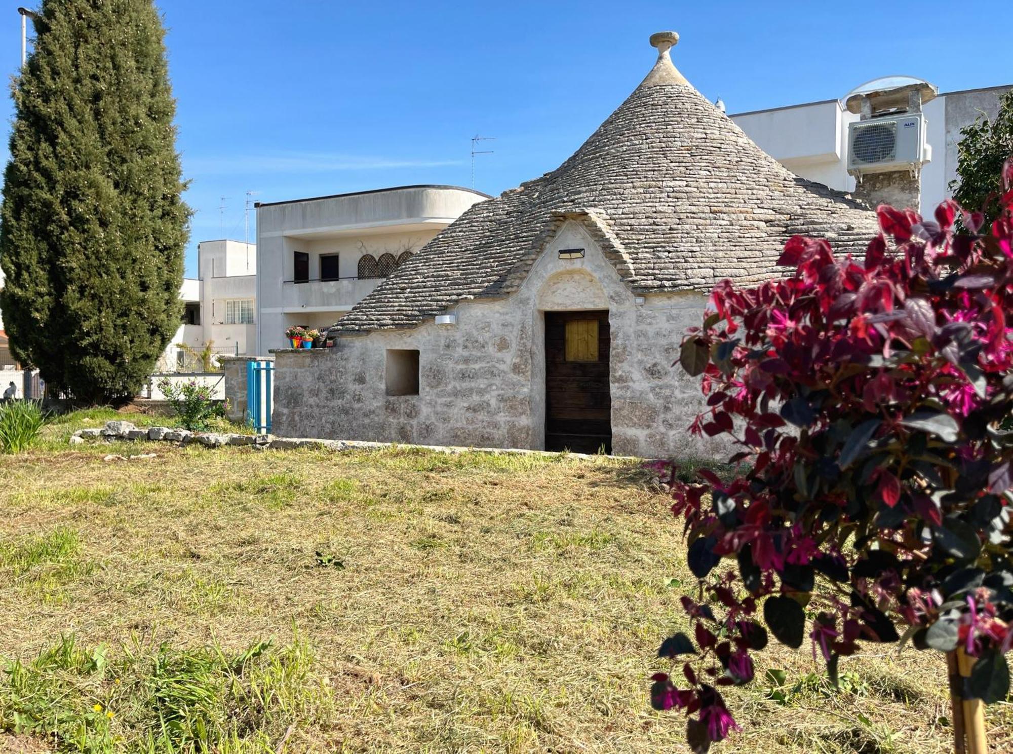 הוילה אלברובלו Trullo Liliana מראה חיצוני תמונה