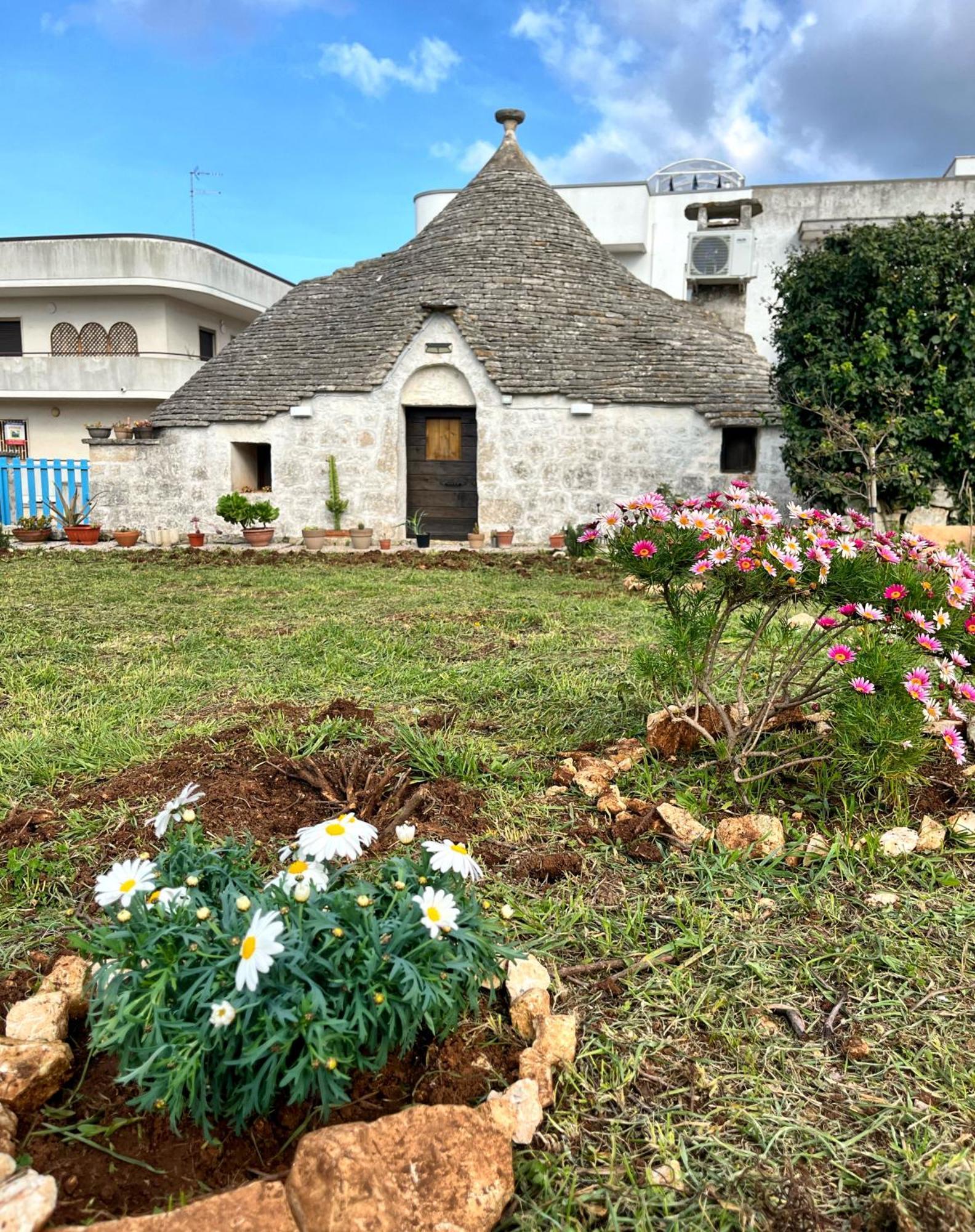 הוילה אלברובלו Trullo Liliana מראה חיצוני תמונה